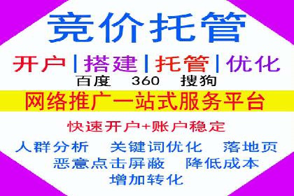 SEM竞价广告的智能优化：成功案例解读